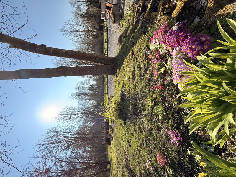Boulodrome en pleine nature
